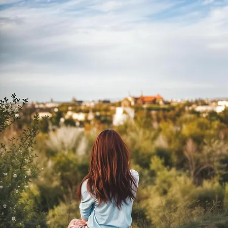 Cracow Fancy Brick #3 - Old Town